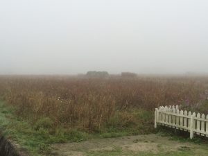 亀岡の霧